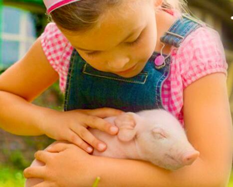 Веган по любви .